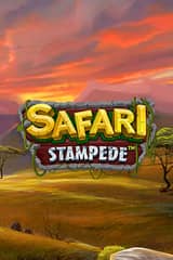 Safari Stampede - Online Pokie